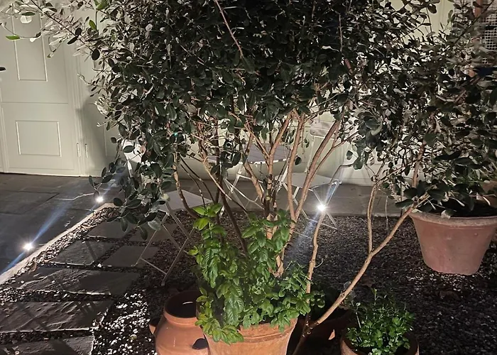 Notes Of - Stylish In An Authentic Area Pensionat Florens