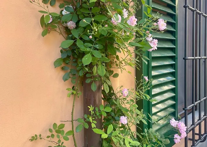 Notes Of - Stylish In An Authentic Area